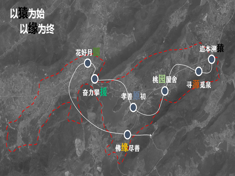 彩神(Vll)股份有限公司 - 追求健康一起成长