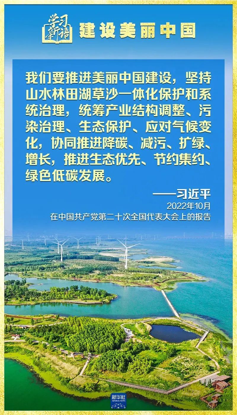 彩神(Vll)股份有限公司 - 追求健康一起成长
