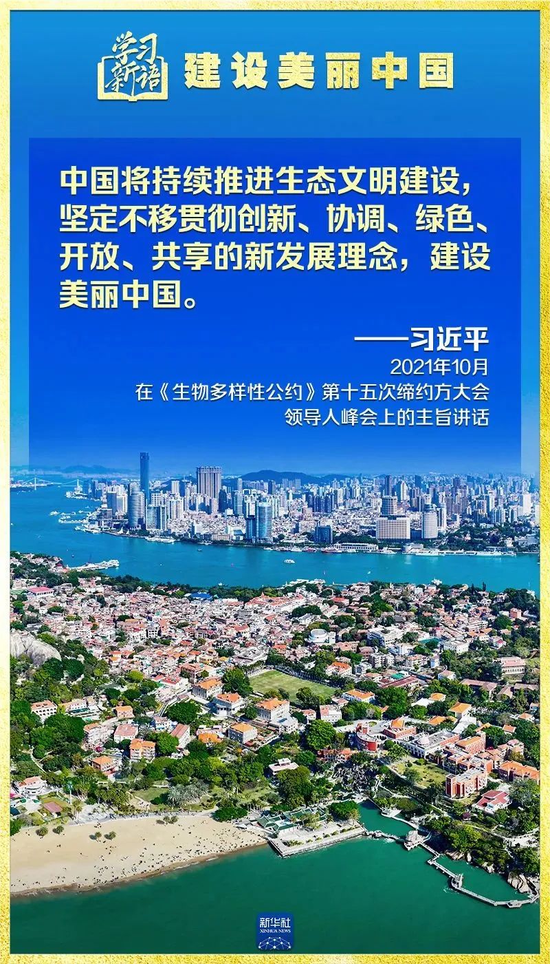 彩神(Vll)股份有限公司 - 追求健康一起成长