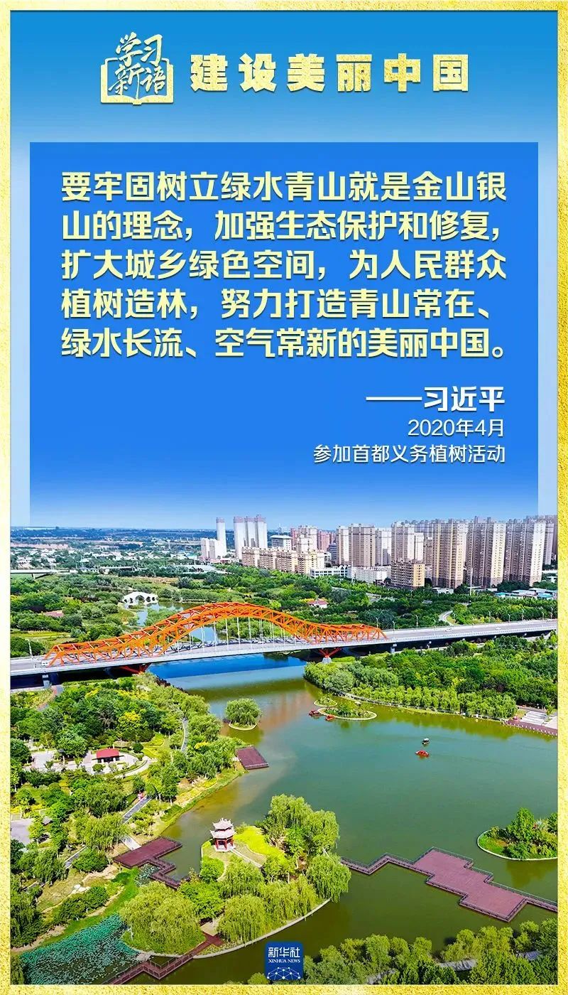 彩神(Vll)股份有限公司 - 追求健康一起成长