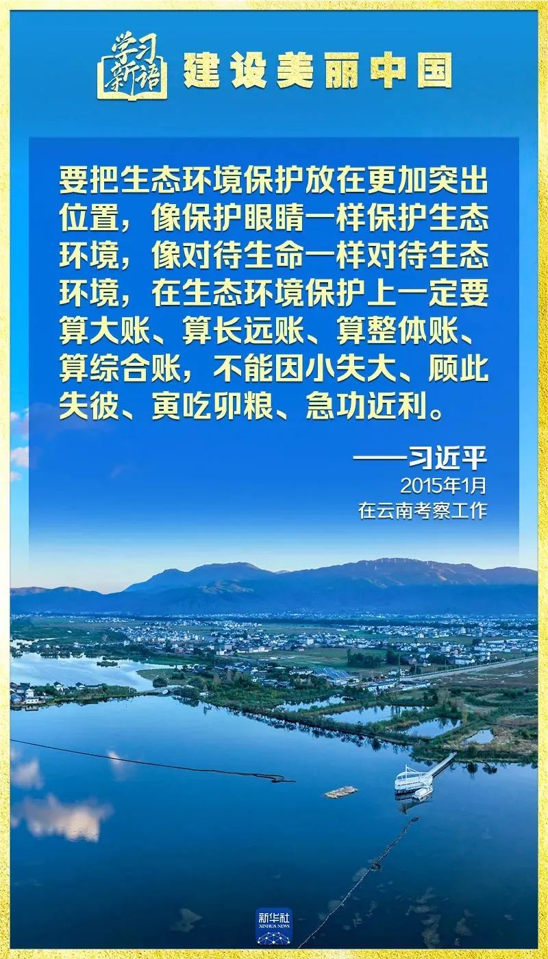 彩神(Vll)股份有限公司 - 追求健康一起成长