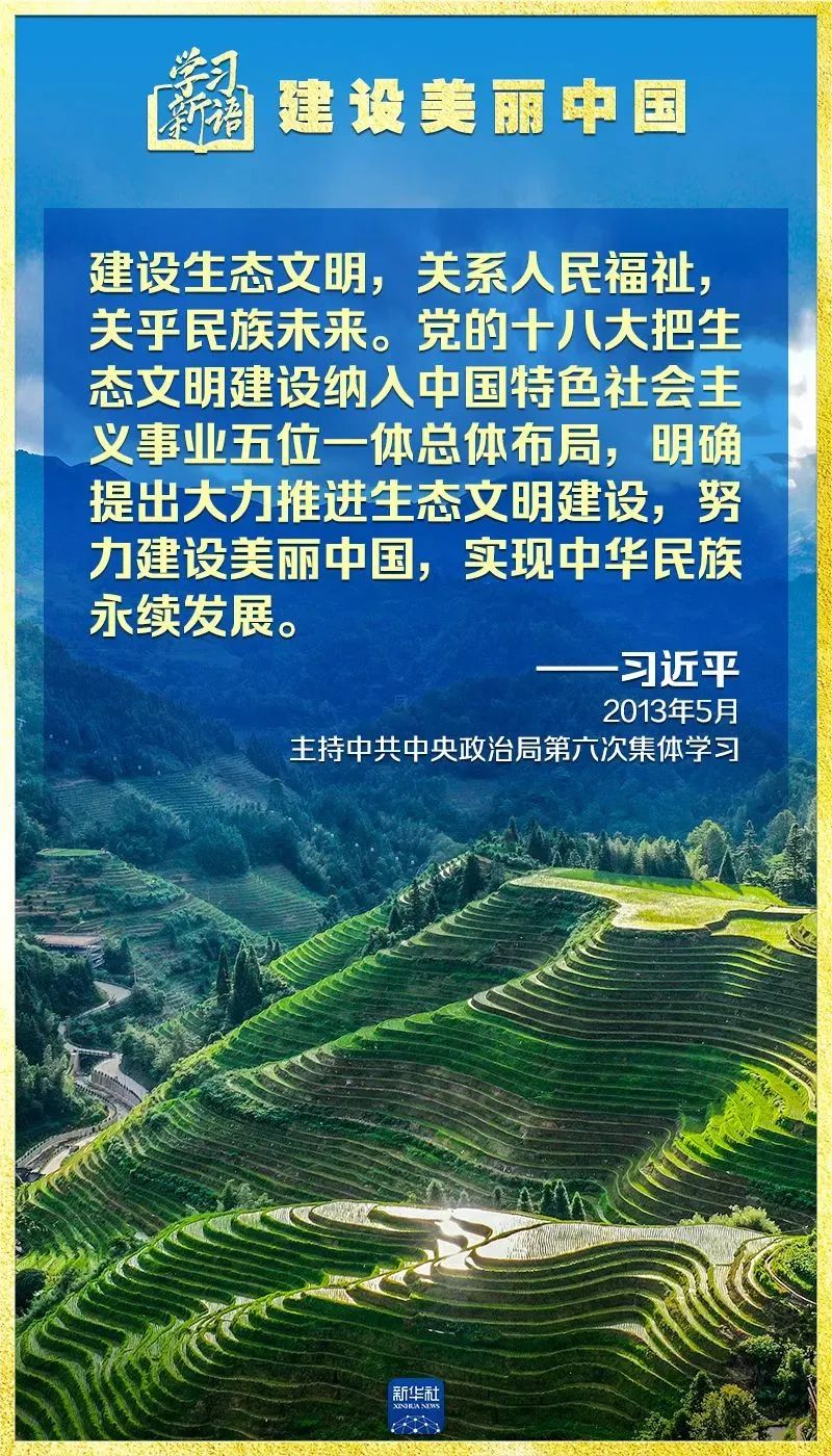 彩神(Vll)股份有限公司 - 追求健康一起成长